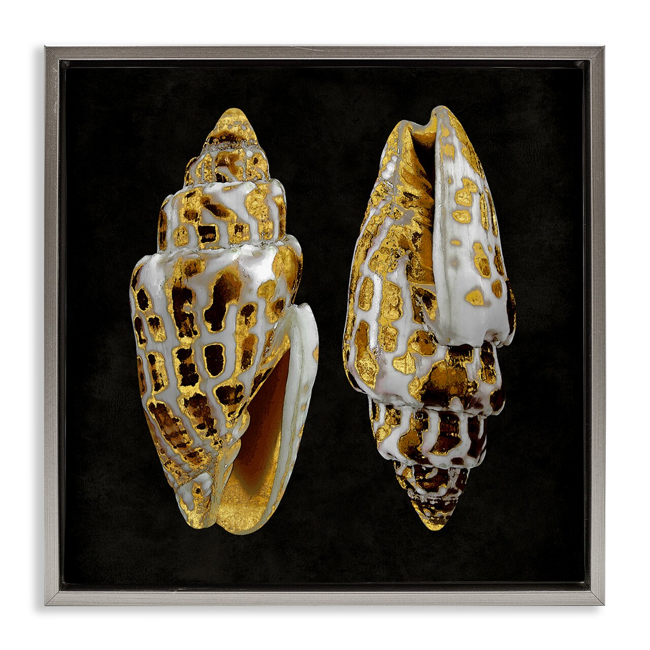 Stupell Industries Spotted Cowrie Shells Framed Floater Canvas Wall Art Design by Caroline Kelly